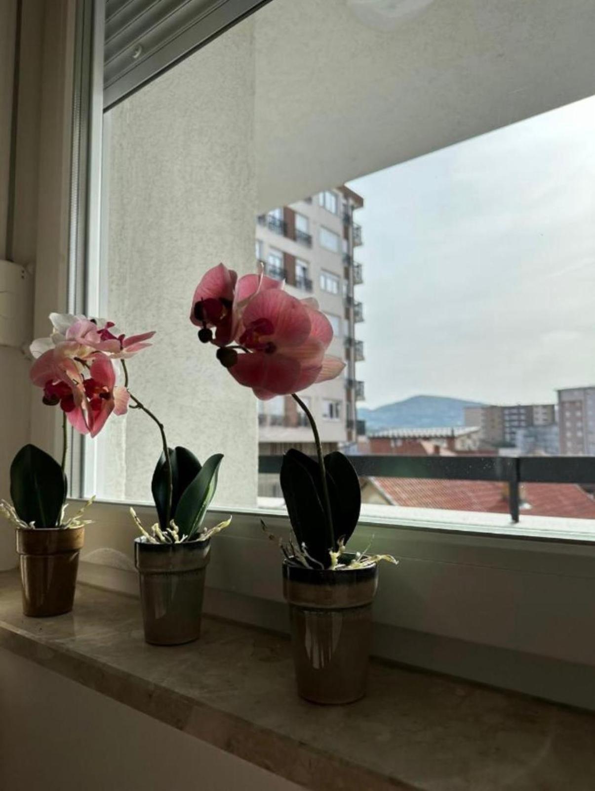 נובי פאזאר Apartmani Imperial מראה חיצוני תמונה